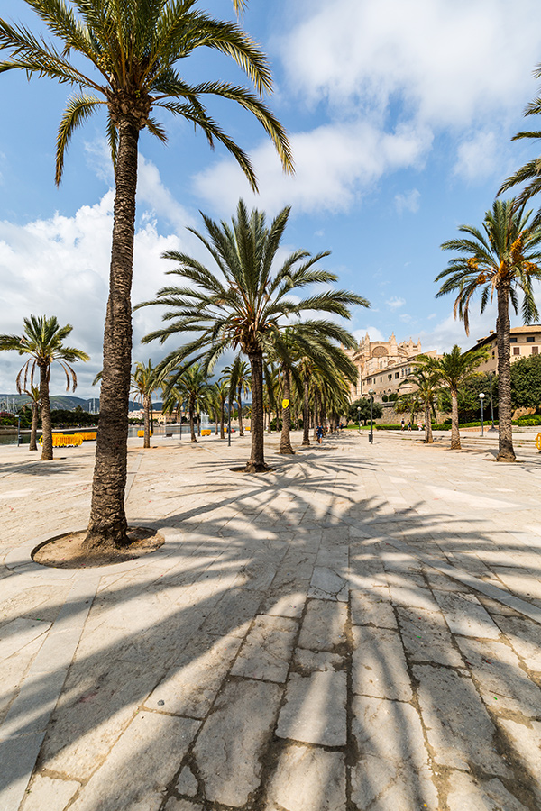 Posidon Promoció D'Habitatges